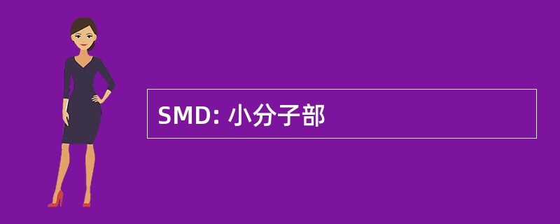 SMD: 小分子部