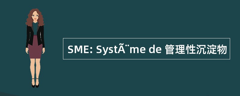 SME: SystÃ¨me de 管理性沉淀物