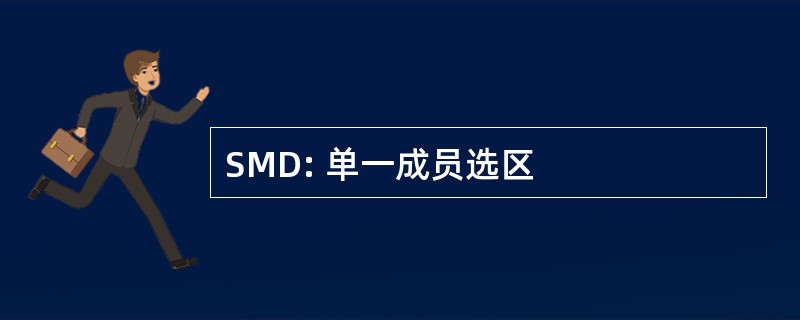 SMD: 单一成员选区