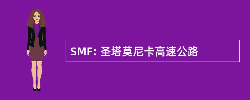 SMF: 圣塔莫尼卡高速公路