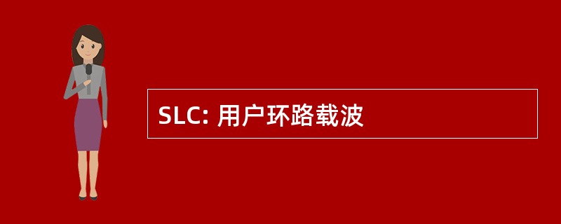 SLC: 用户环路载波