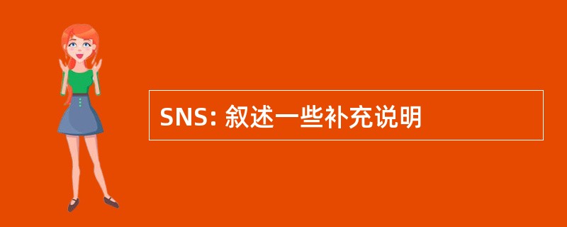 SNS: 叙述一些补充说明