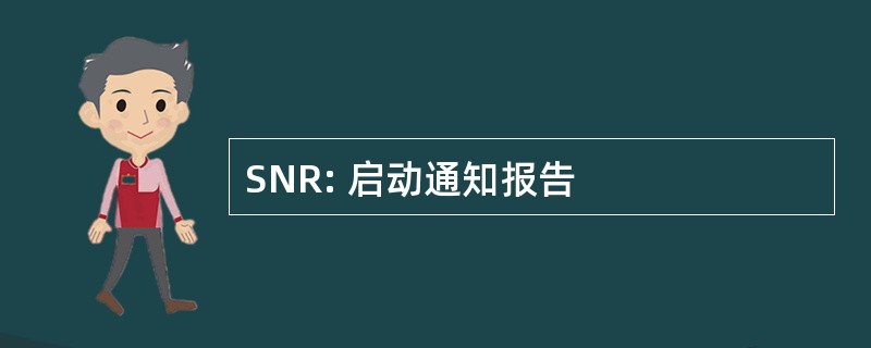 SNR: 启动通知报告