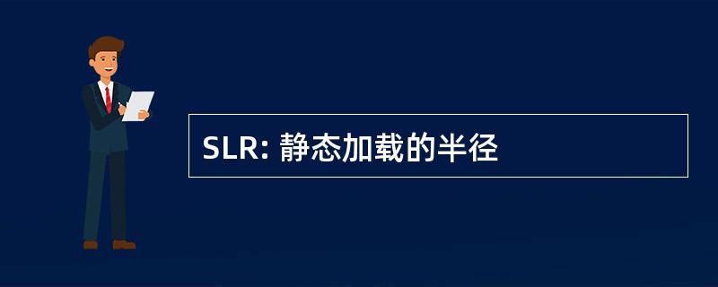 SLR: 静态加载的半径