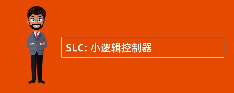 SLC: 小逻辑控制器