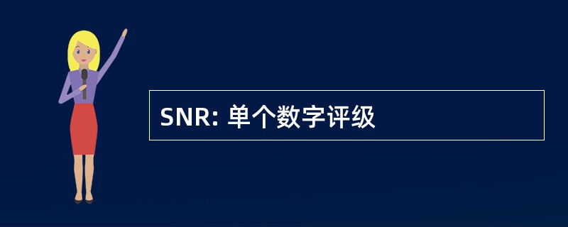 SNR: 单个数字评级