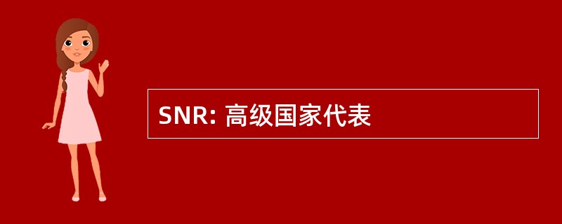 SNR: 高级国家代表