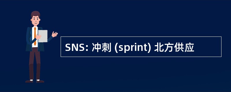 SNS: 冲刺 (sprint) 北方供应