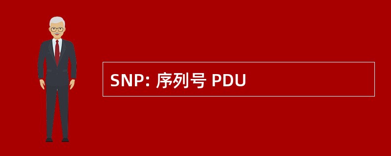 SNP: 序列号 PDU