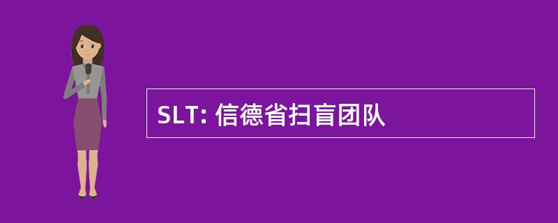 SLT: 信德省扫盲团队