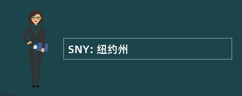 SNY: 纽约州