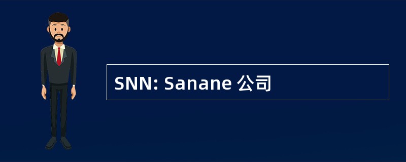 SNN: Sanane 公司