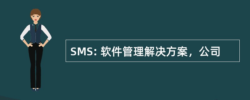 SMS: 软件管理解决方案，公司