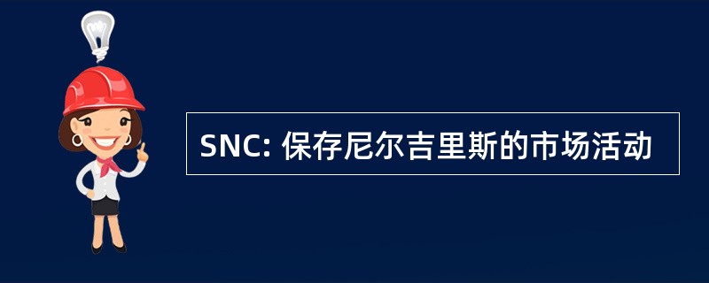 SNC: 保存尼尔吉里斯的市场活动