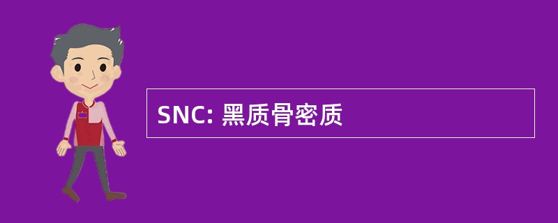 SNC: 黑质骨密质