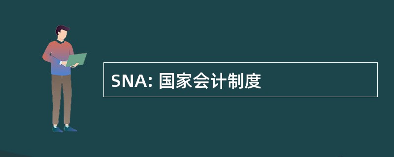 SNA: 国家会计制度