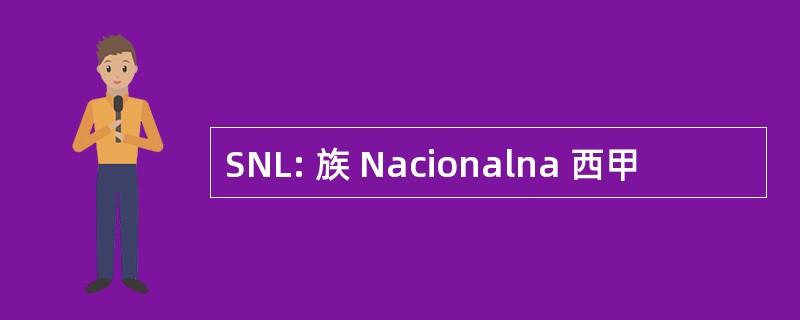 SNL: 族 Nacionalna 西甲