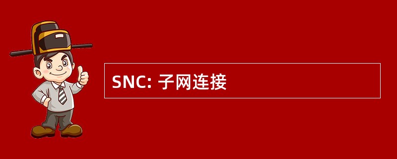 SNC: 子网连接