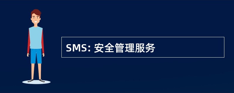 SMS: 安全管理服务