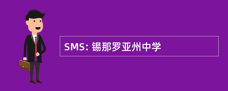 SMS: 锡那罗亚州中学