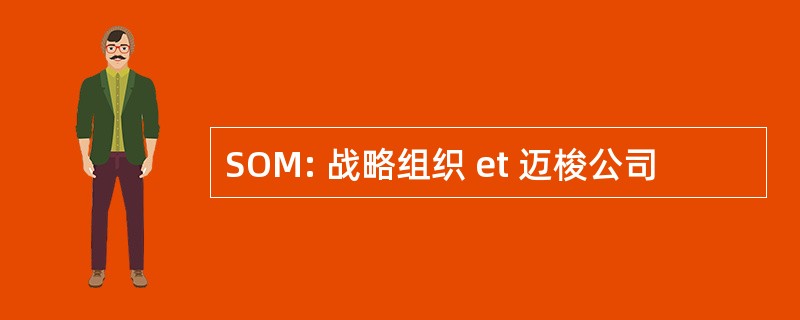 SOM: 战略组织 et 迈梭公司