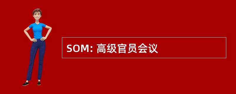 SOM: 高级官员会议