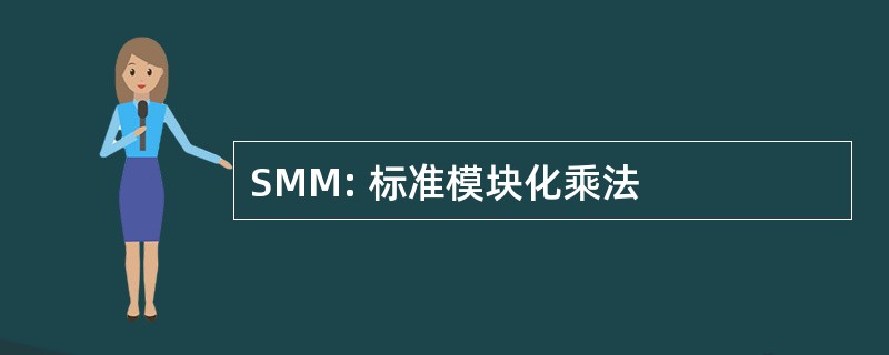 SMM: 标准模块化乘法