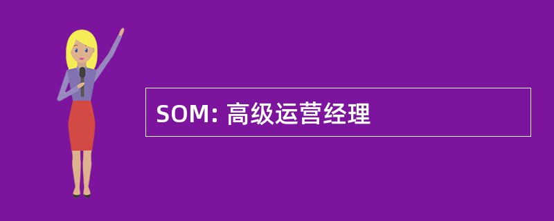 SOM: 高级运营经理