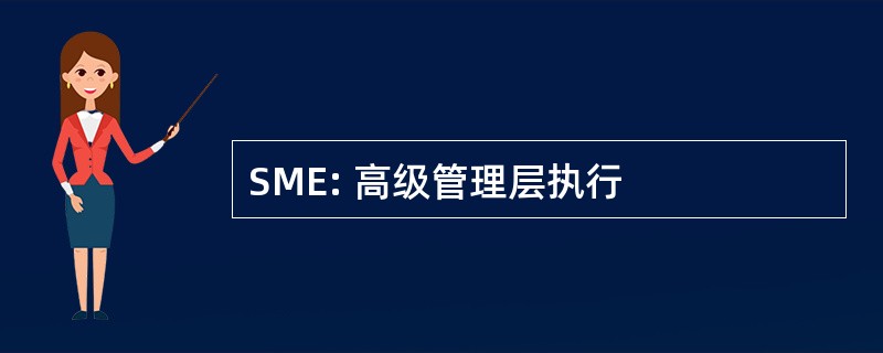 SME: 高级管理层执行