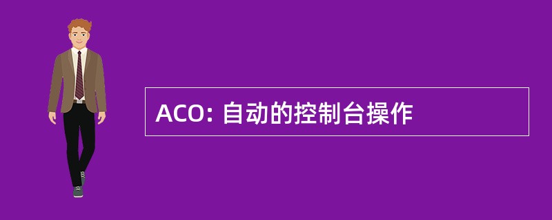 ACO: 自动的控制台操作