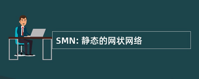 SMN: 静态的网状网络