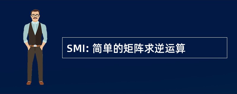 SMI: 简单的矩阵求逆运算