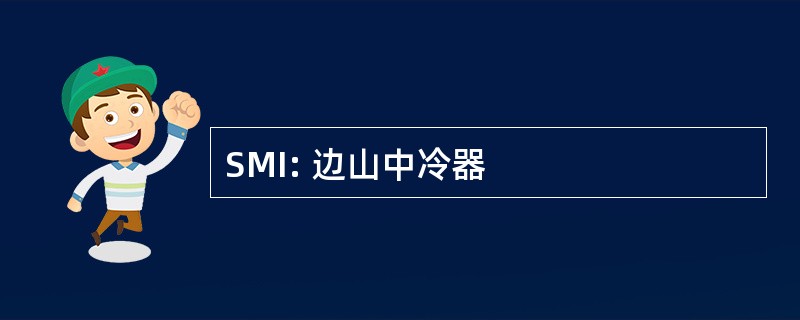 SMI: 边山中冷器