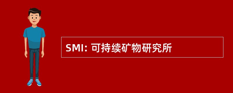 SMI: 可持续矿物研究所