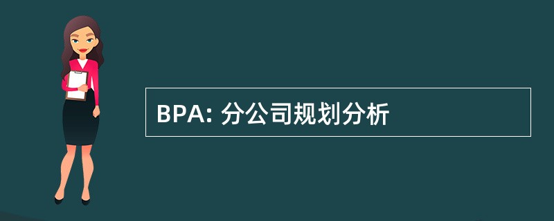 BPA: 分公司规划分析