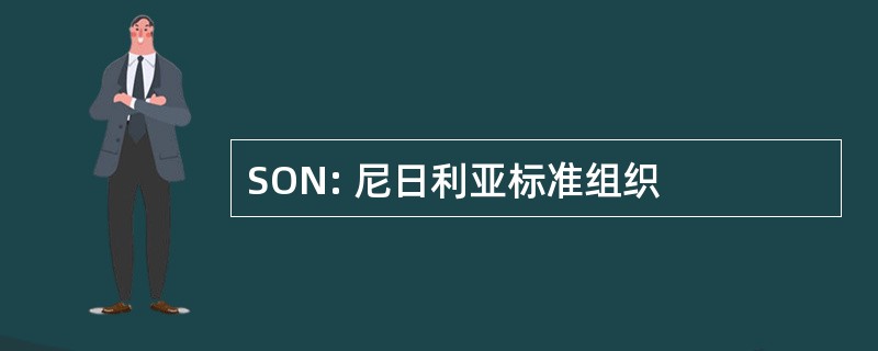 SON: 尼日利亚标准组织