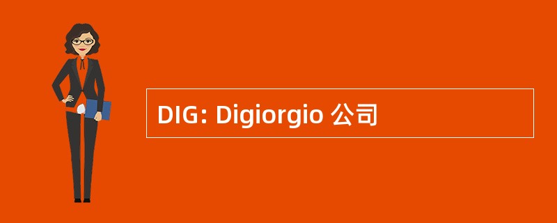 DIG: Digiorgio 公司