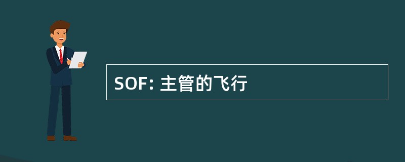 SOF: 主管的飞行