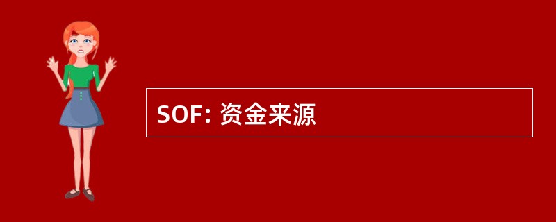 SOF: 资金来源