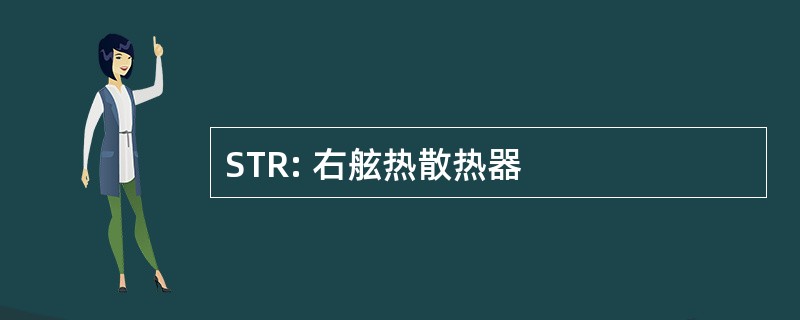 STR: 右舷热散热器