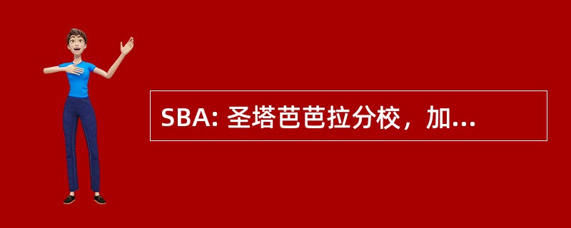 SBA: 圣塔芭芭拉分校，加州，美国-圣塔芭芭拉机场