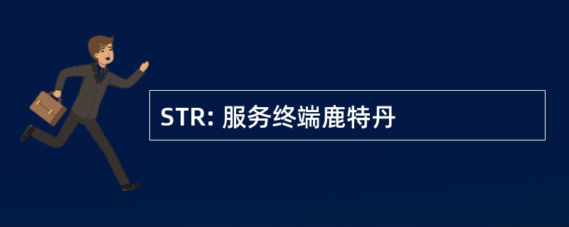 STR: 服务终端鹿特丹