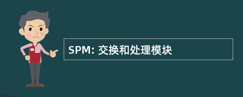 SPM: 交换和处理模块