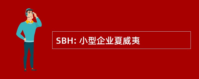 SBH: 小型企业夏威夷