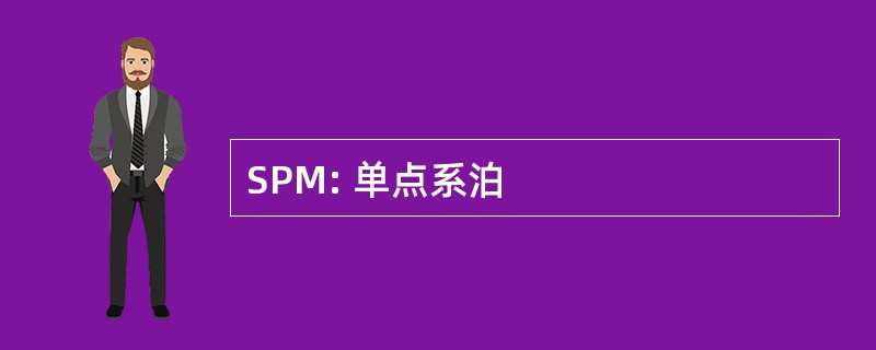 SPM: 单点系泊