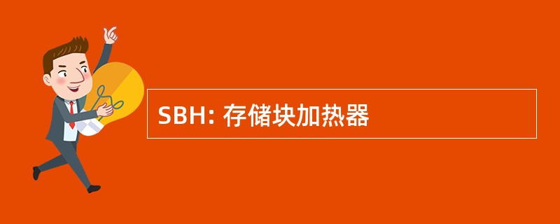 SBH: 存储块加热器