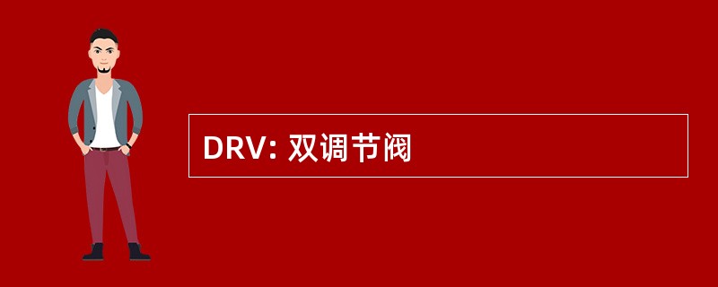 DRV: 双调节阀