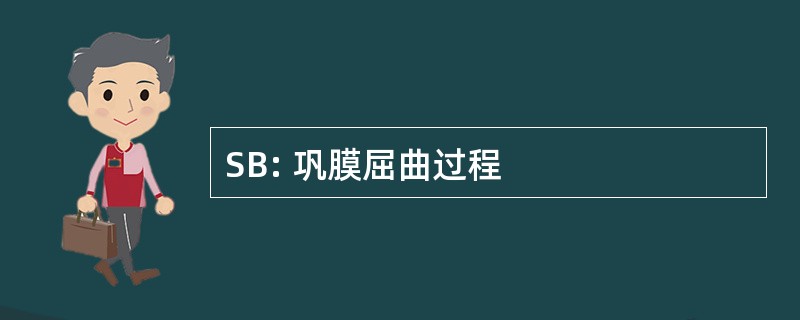 SB: 巩膜屈曲过程