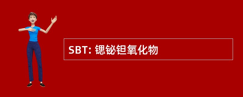 SBT: 锶铋钽氧化物