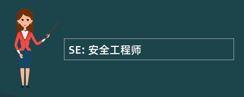 SE: 安全工程师